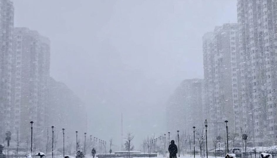⚡️Парковка самокотов в Балашихе на майские праздники будет бесплатной