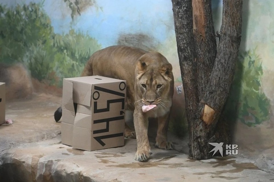    Екатеринбургский зоопарк стал лауреатом премии «Парки России» Ольга ЮШКОВА