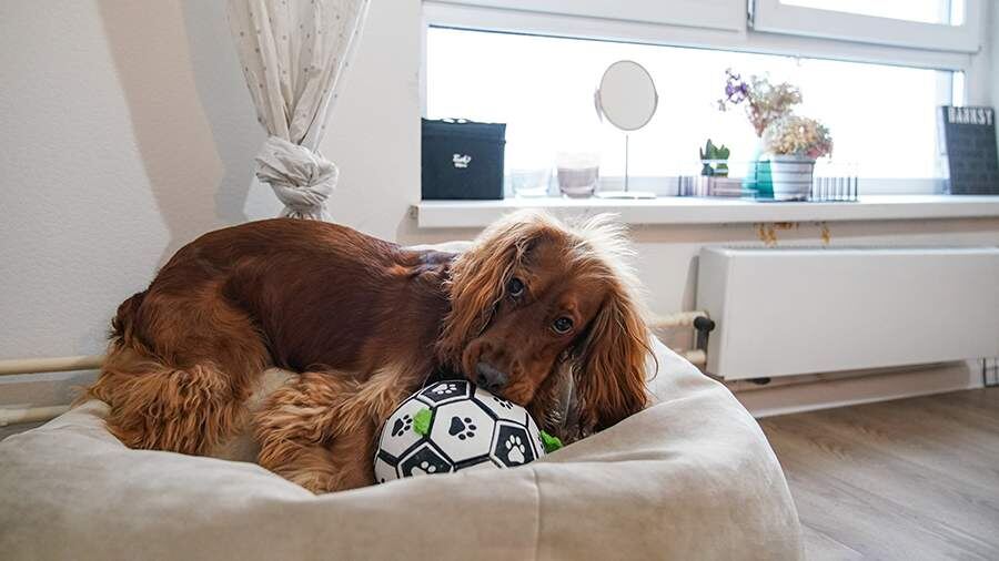    Фото: ИЗВЕСТИЯ/Сергей Лантюхов