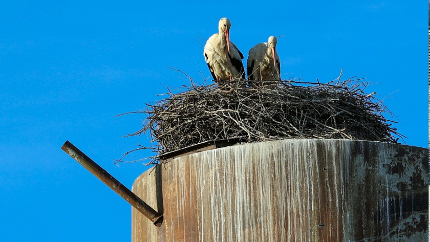    Фото: личный архив Анны Ефимовой