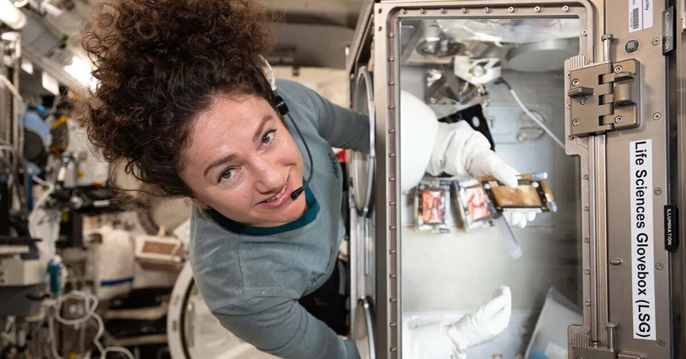 Джессика Меир работает с биологическими образцами в перчаточном боксе LSG ЭМ Kibo. Фото: nasa.blog.com