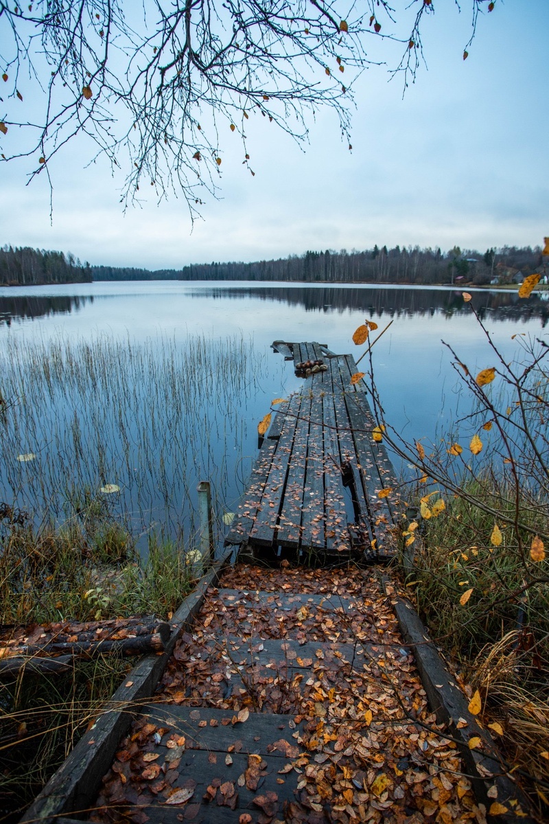 Фото: Александр Панов
