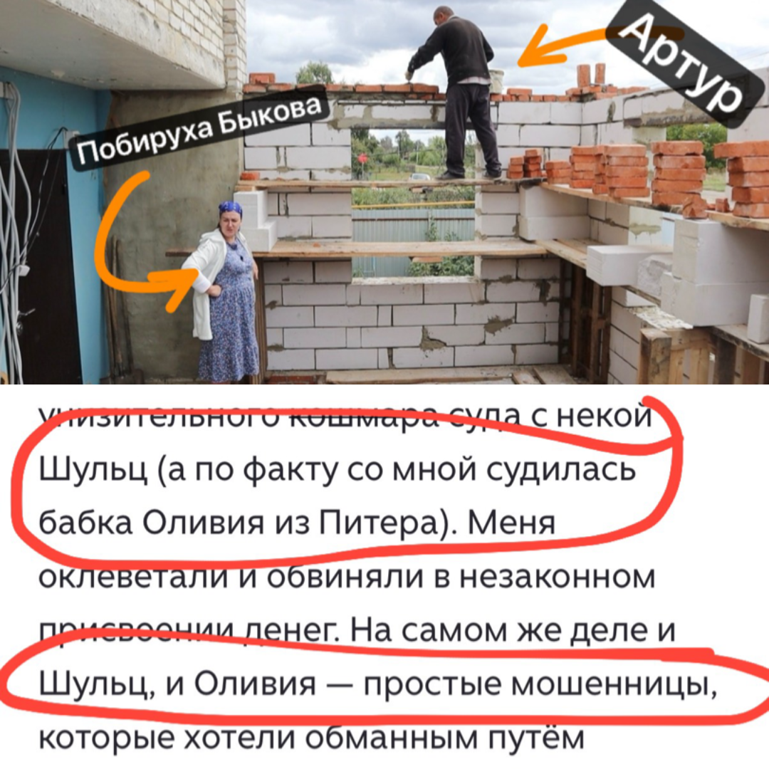 Бригада Сурена и Артура построила пристройку Быковой. Донатчицу Шульц в суде называет мошенницей