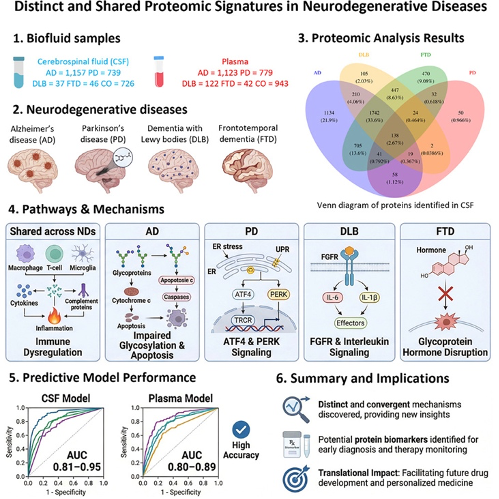 Молекулярные отпечатки четырех заболеваний мозга нашлись в крови и спинномозговой жидкости