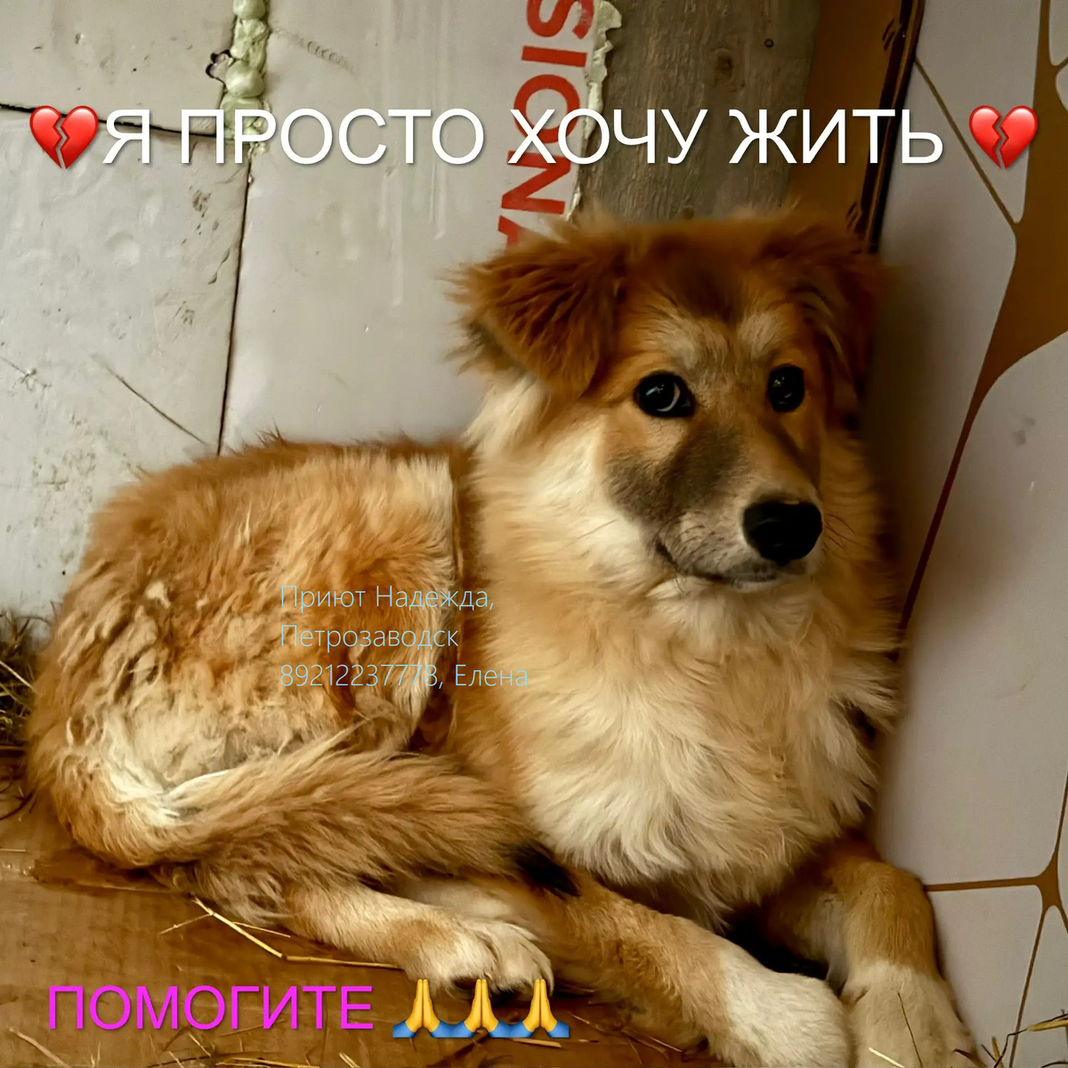 Лева не доверяет людям, много пережил боли и страдания
