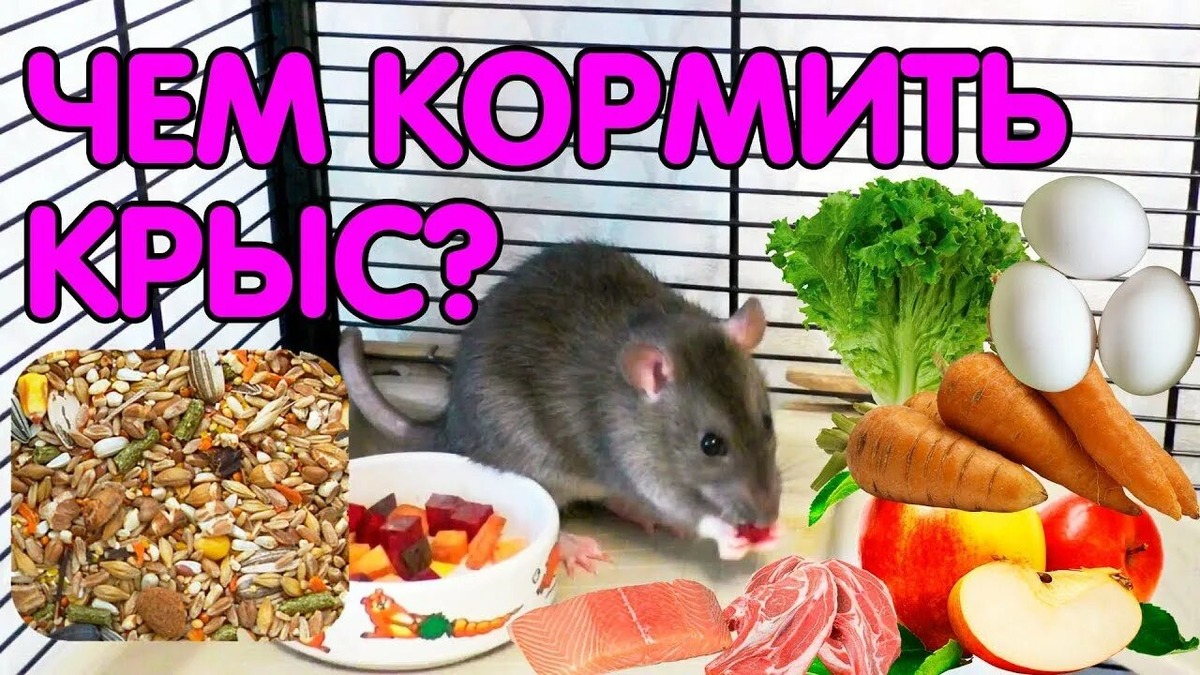Фотография из интернета