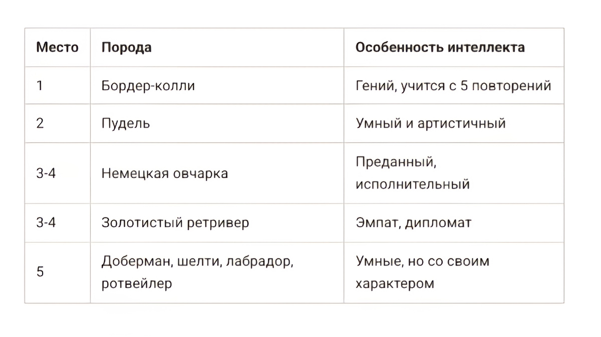 Тот 5 прод наиумнейших по версии науки и Стенли Корена🫱🏻‍🫲🏼