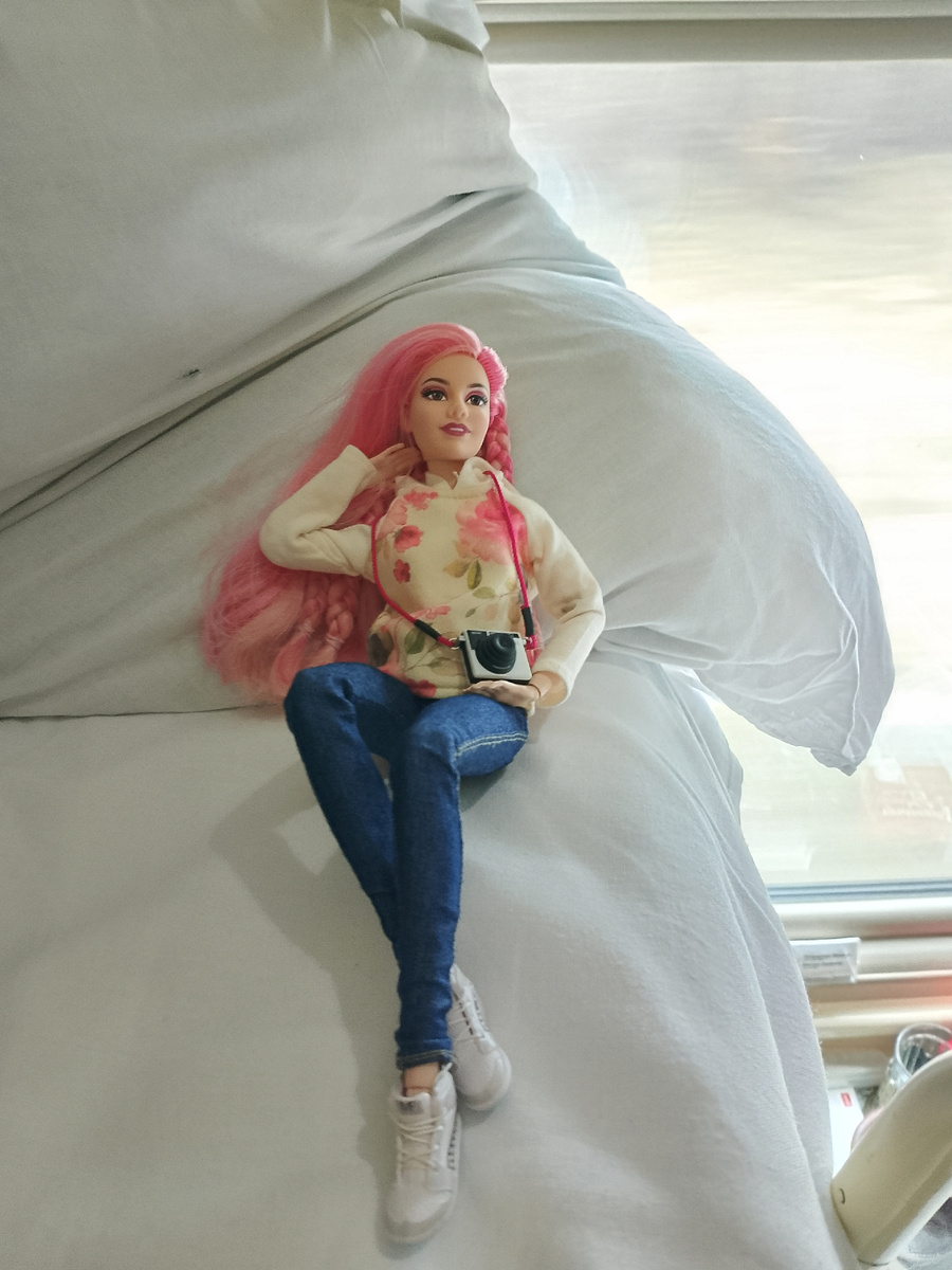 Последние фото Войцехи в пути