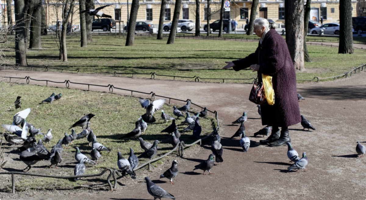Фото: © РИА Новости/Алексей Даничев