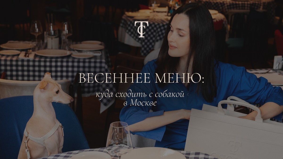 Сумки переноски для собак Tesoro Collezione