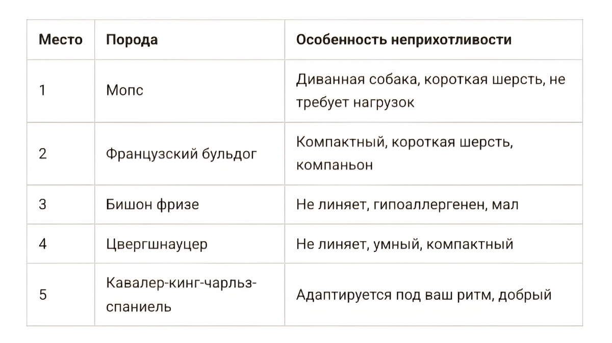 Топ-5 пород собак для "начинающих" 🤗