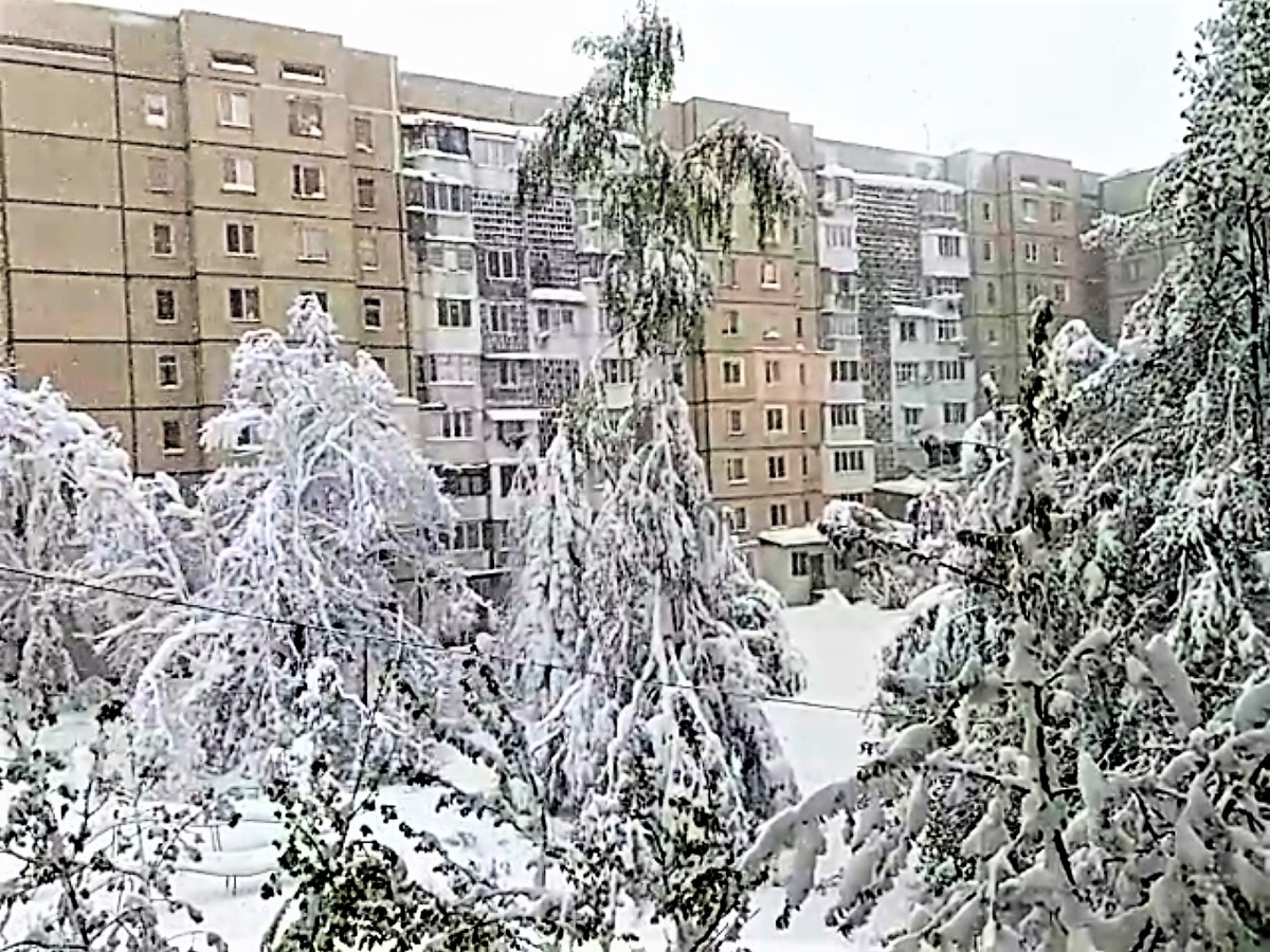 Фото автора