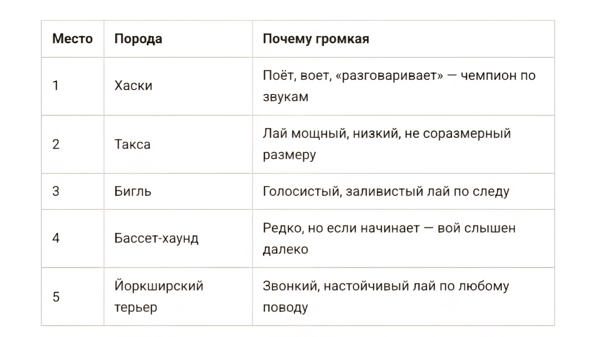Самые громкие и разговорчивые породы собак: топ-5, которым есть что сказать
