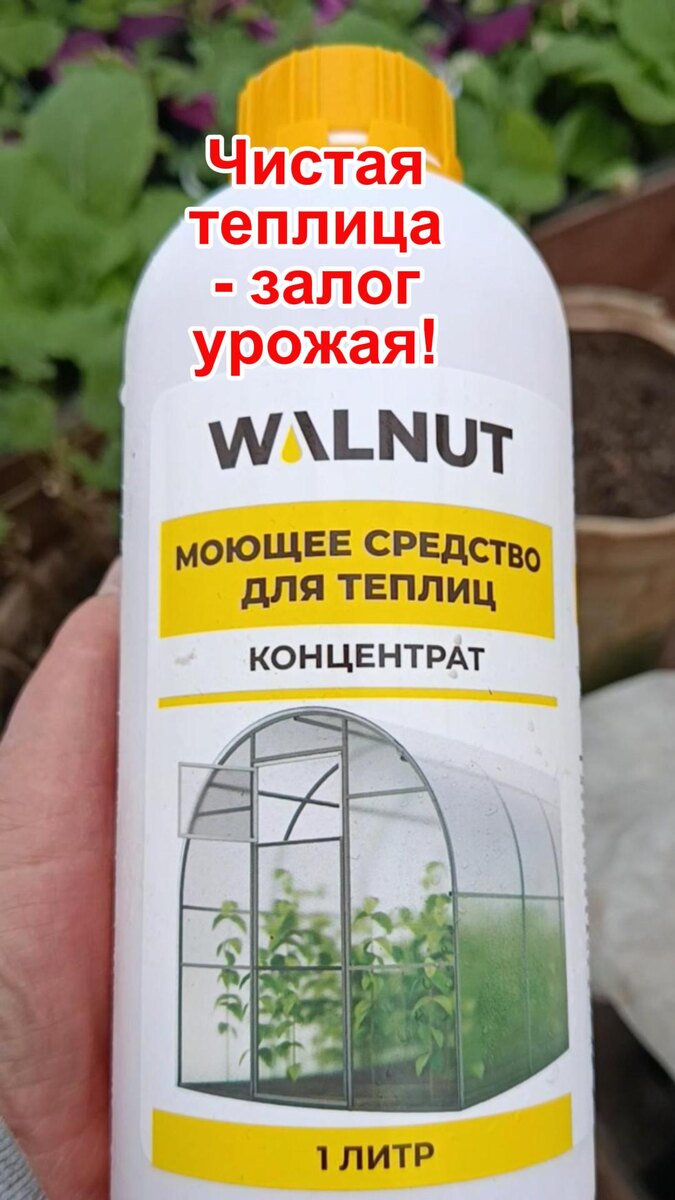 Моющее средство для теплиц от вредителей, грибка и плесени