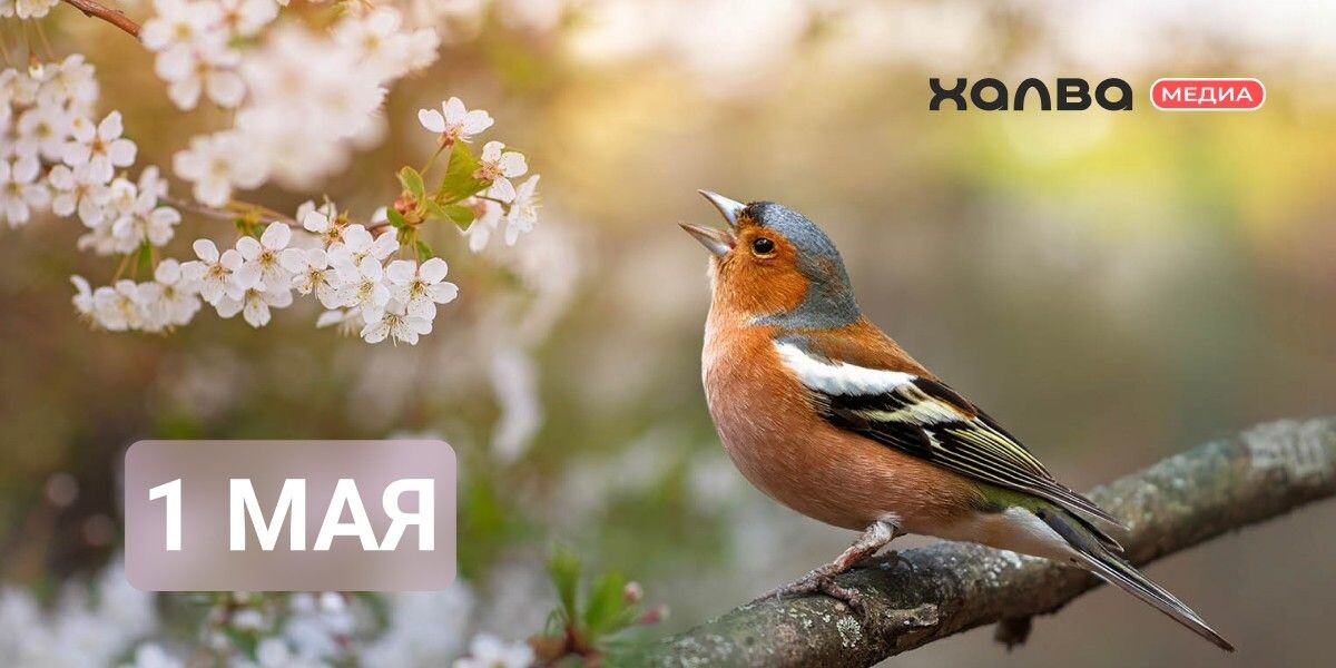 1 мая — день рождения многих известных людей. Источник: ostyaleana / Shutterstock / FOTODOM📷
