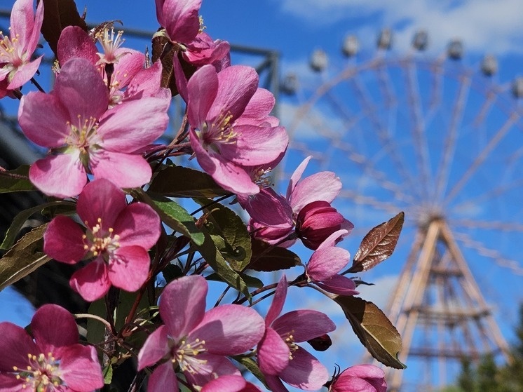     Фото: Сиб.фм