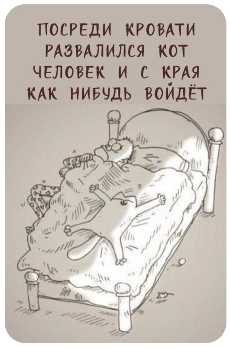 У меня двухспальная кровать, но сплю я с краю и коленки точно также торчать из под одеяла потому что котики спять посередине кровати и их фиг столкнешь с нее😁