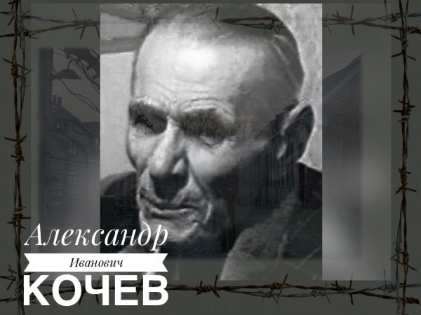 Древо жизни 