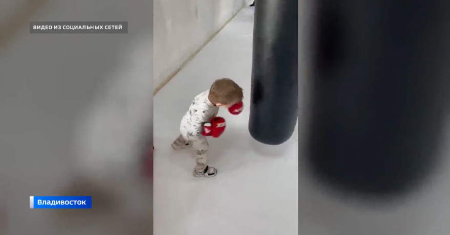 Двухлетний боксер из Приморья произвел фурор в Интернете