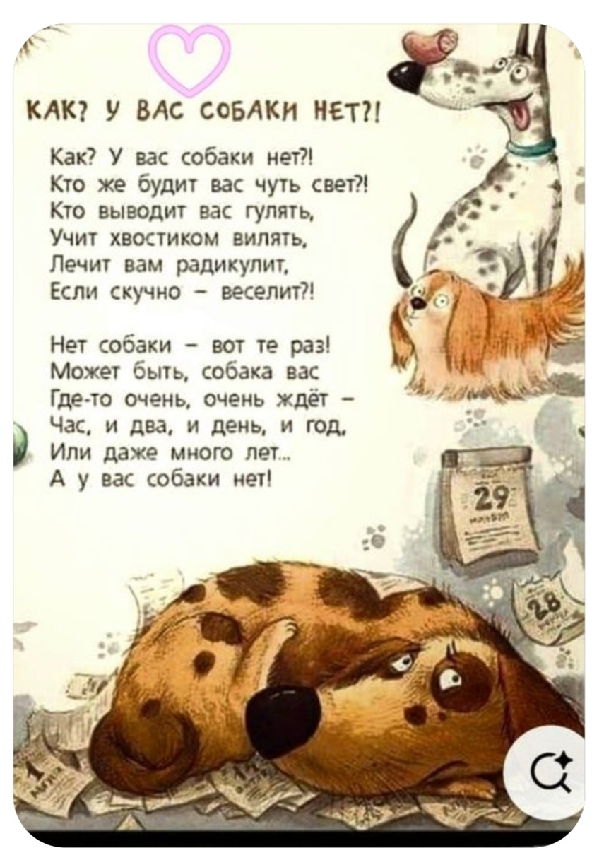 А у вас есть собачка? 😁