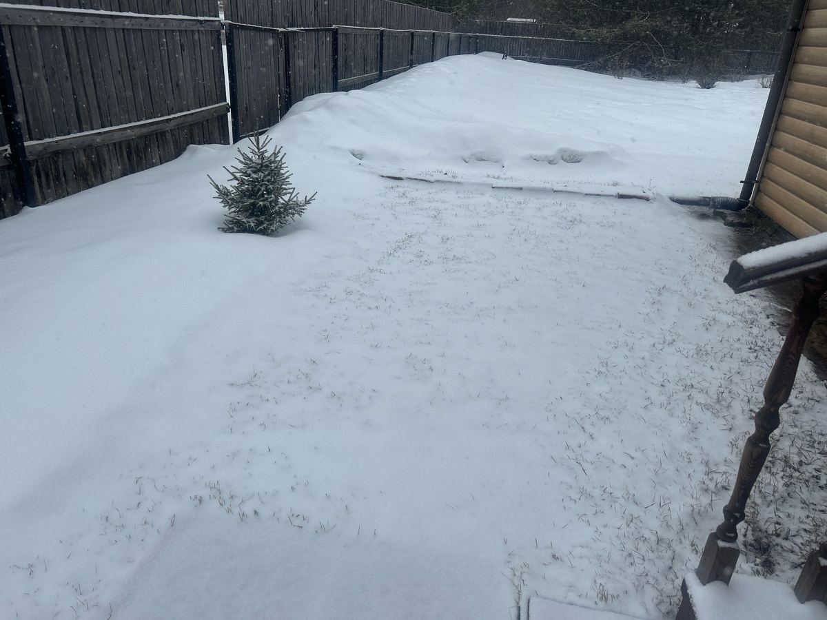 Апрельский двор моей сестры