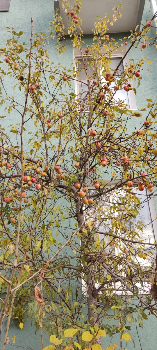 Старая фотка для обложки 