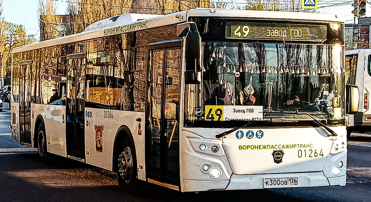 Автор: Александр