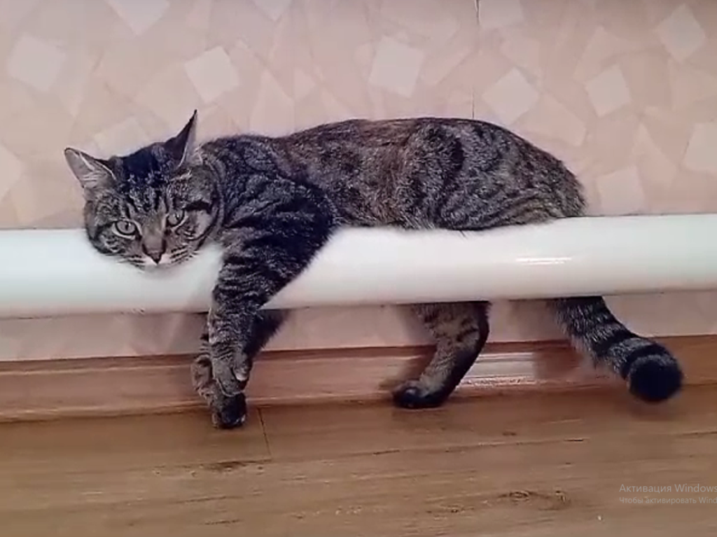    Фото Анны Сентяковой