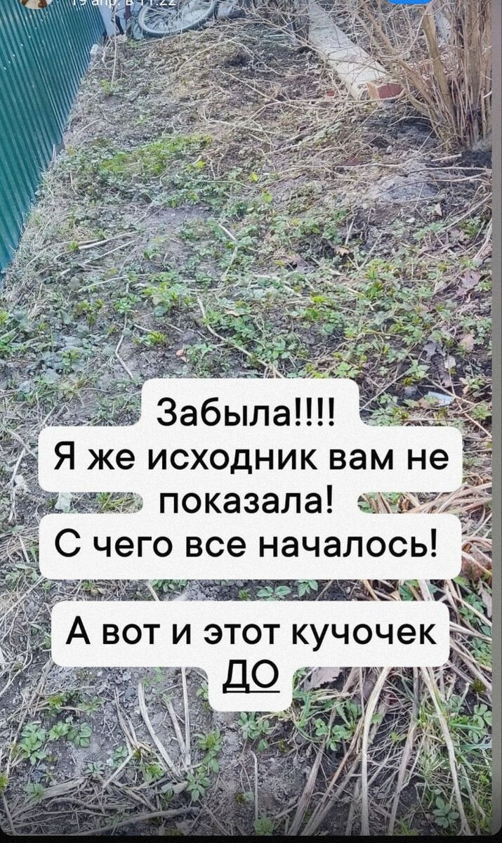 Сныть, мусор, камни