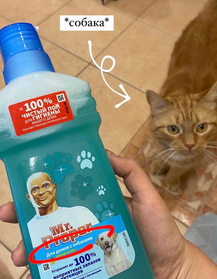 © ironheartcar / Pikabu