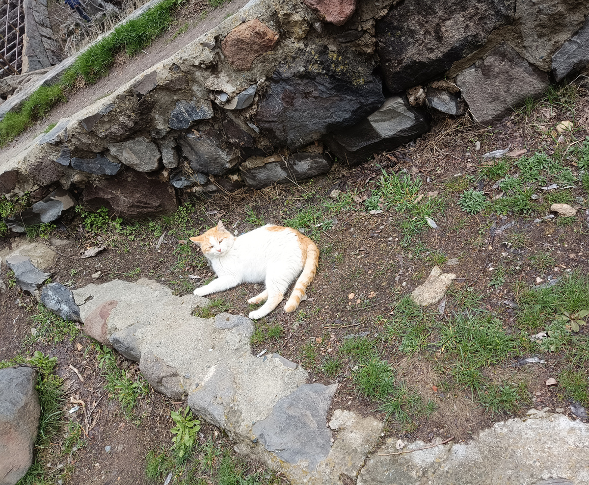 Сдал декларацию и спи спокойно😻