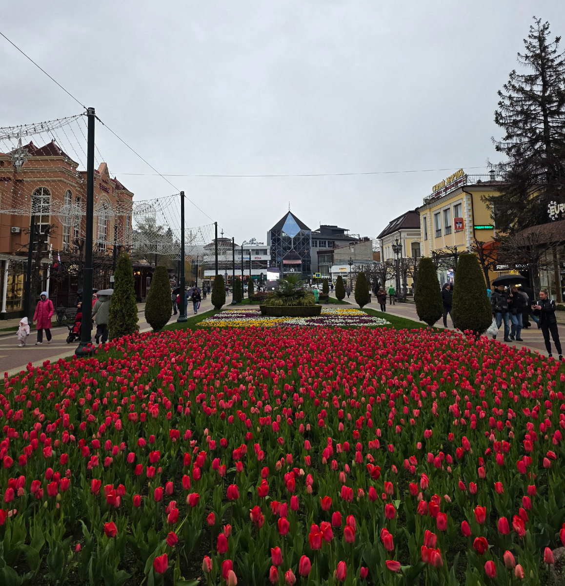 Кисловодск, Курортный бульвар 23.04.26