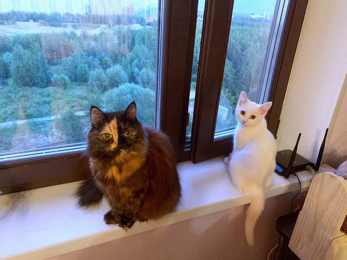 Устя и Глаша