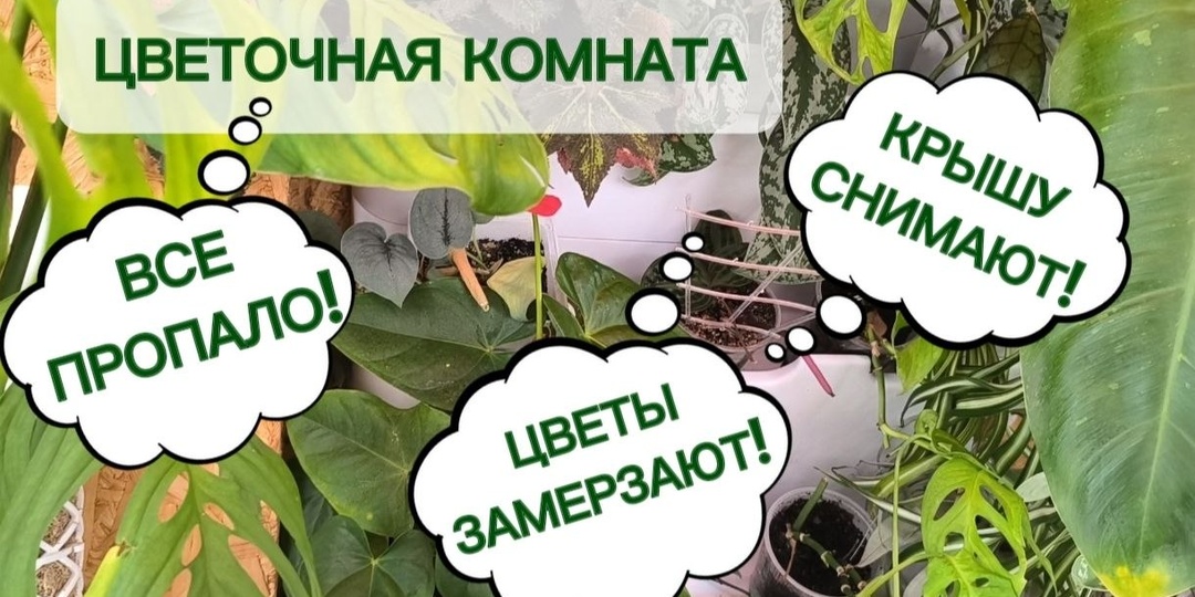 Новости