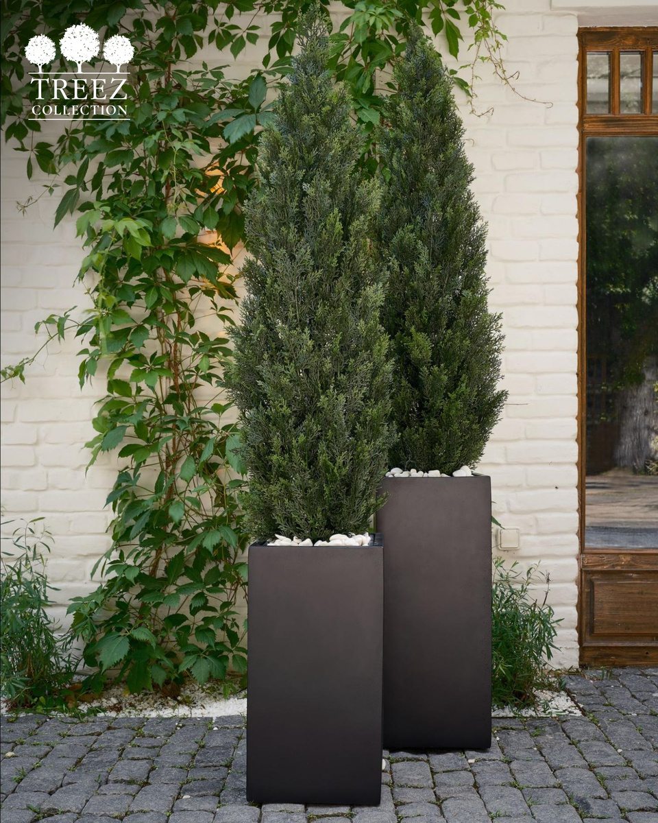 Кашпо и растения TREEZ Collection