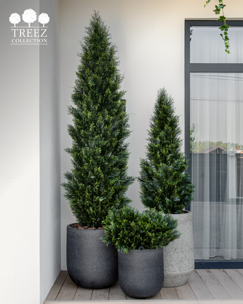 Кашпо и растения TREEZ Collection