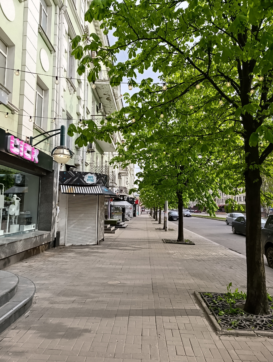 Каштаны на улице Артёма.