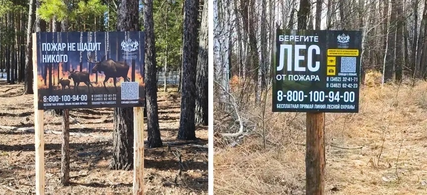 | Фото: департамент лесного комплекса Тюменской области