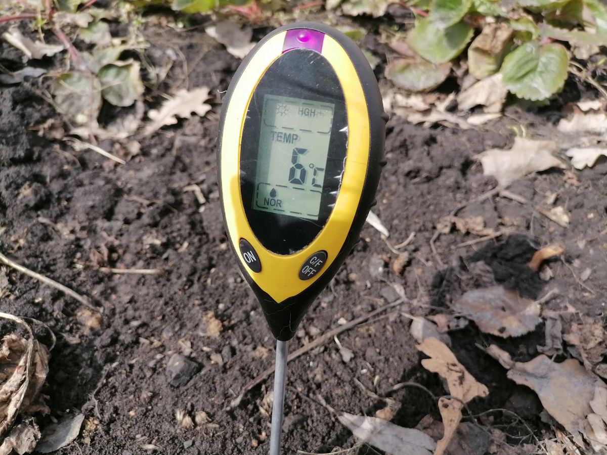 Мой любимый измеритель для почвы жив и верно служит, фото автора