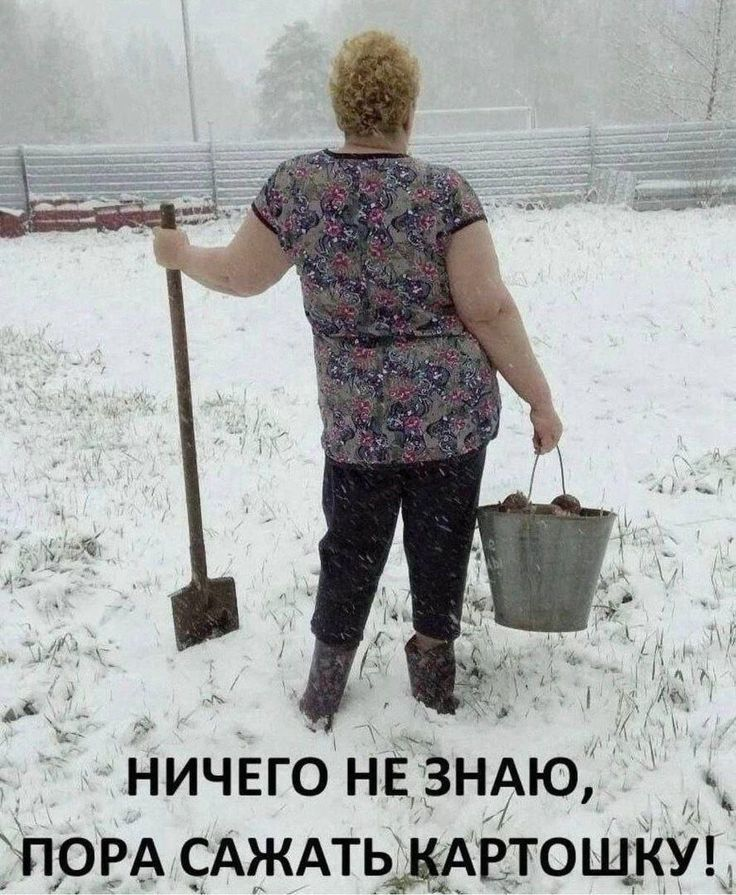картинка из интернета