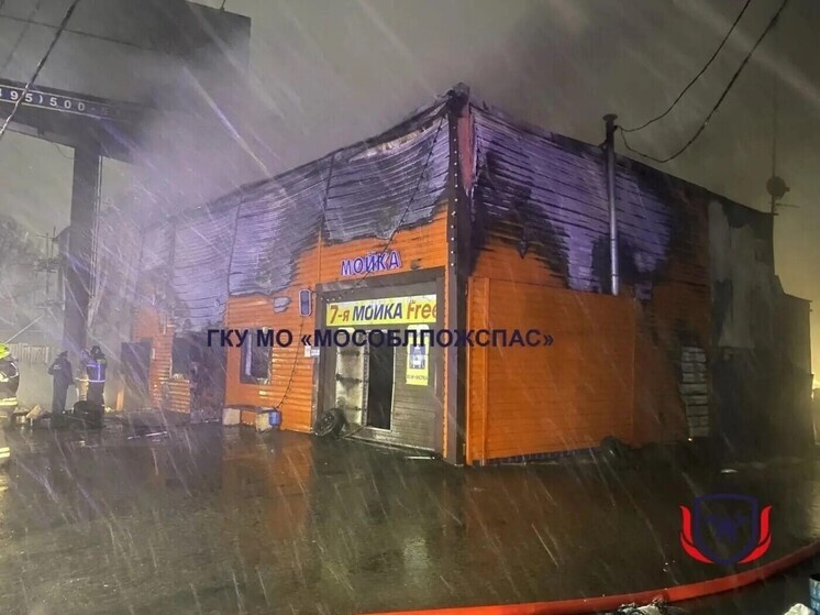     фото: скриншот из соцсетей
