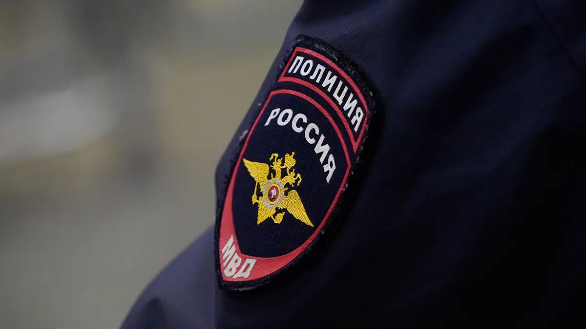    Источник: vm.ru/ Иван Гаврилов