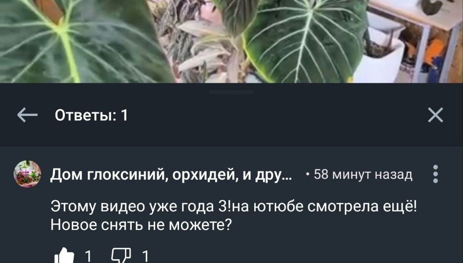 Ну вот и мне посчастливилось! Дом чего-то там