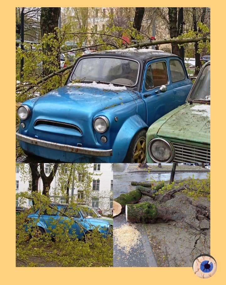 Фото и коллаж автора, Москва