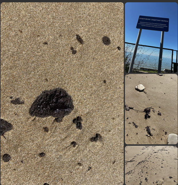 Предоставлено Царьграду волонтёрами