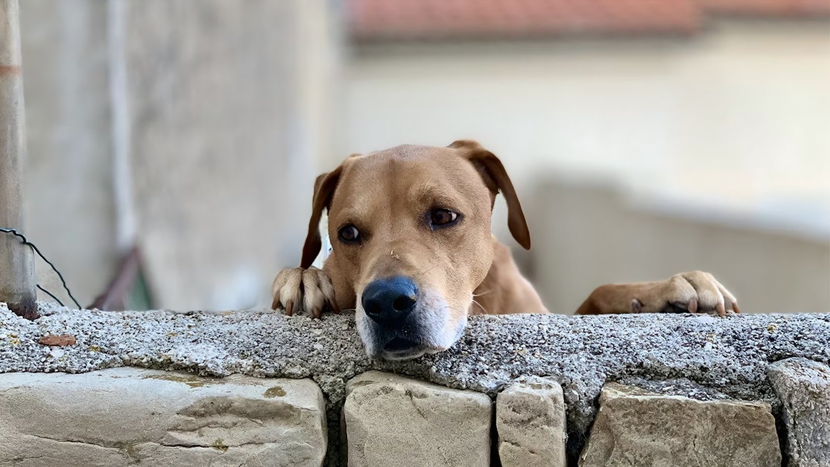    Фото несет иллюстративный характер