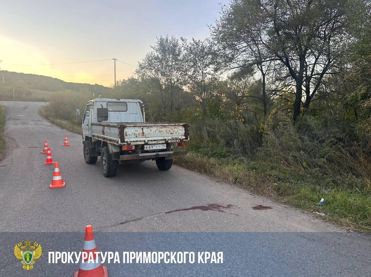    Грузовик, из которого вывалились две девочки в Приморье | © Прокуратура Приморского края