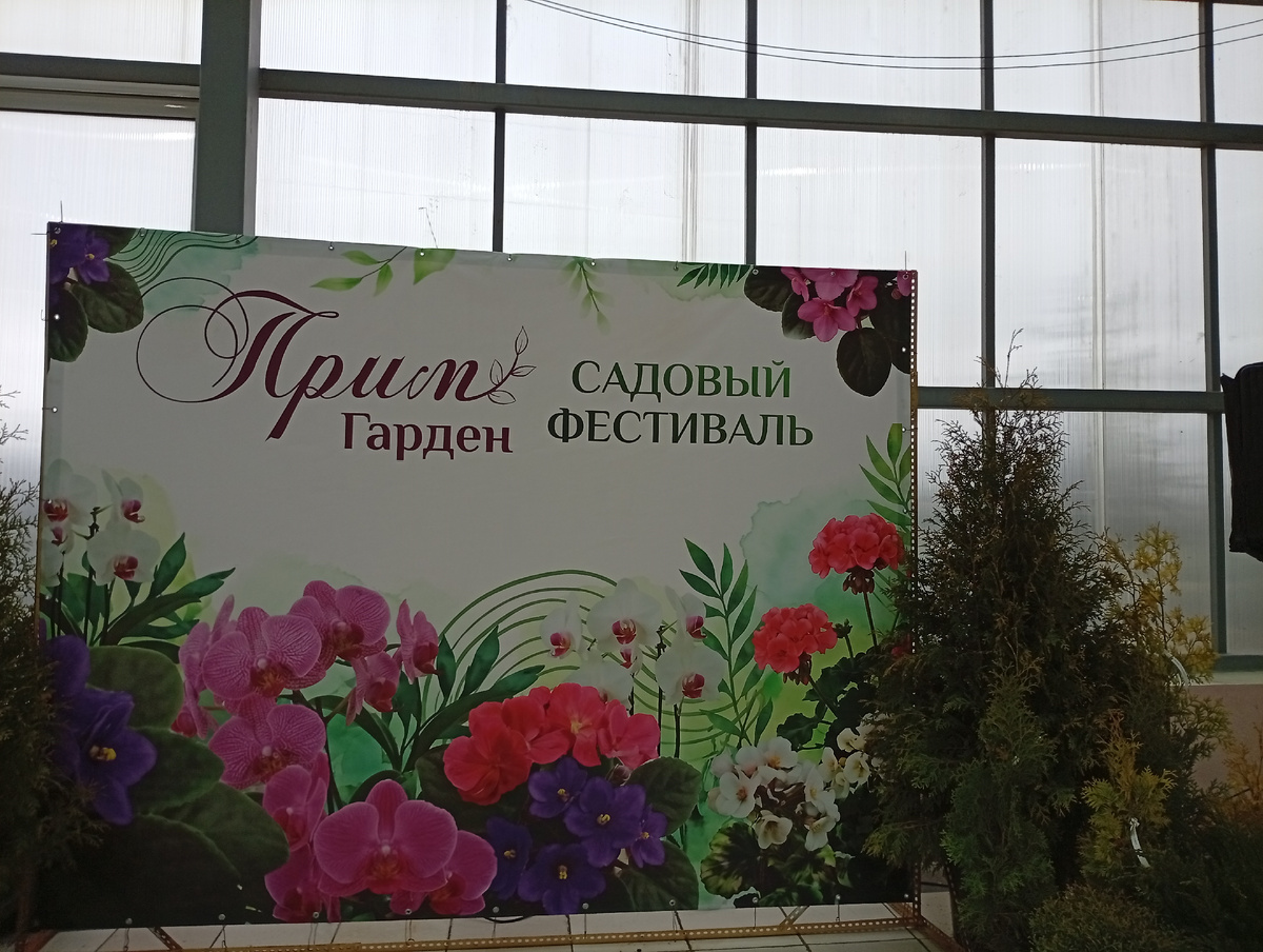 Вот так называется наш фестиваль