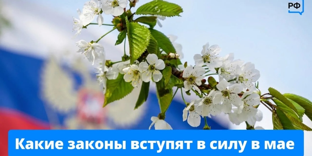 В мае начнут действовать сразу несколько новых законов