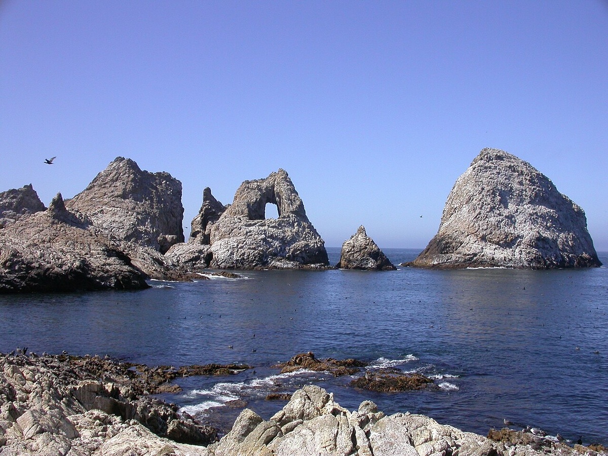 https://ru.wikipedia.org/wiki/Фараллоновы_острова#/media/Файл:Aulon_arch_Sugarloaf.JPG